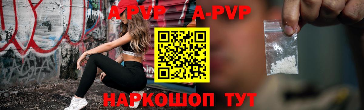 A PVP СК КРИС Холмск
