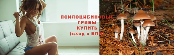 apvp Мегион
