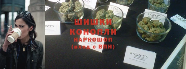 винт Шали