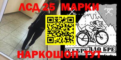 индика Заводоуковск