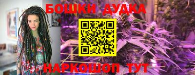 индика Заводоуковск