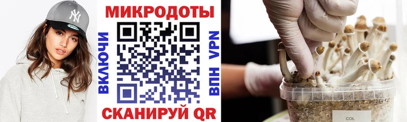нарко площадка наркотические препараты  ссылка на мегу рабочий сайт  Холмск  Галлюциногенные грибы Cubensis 