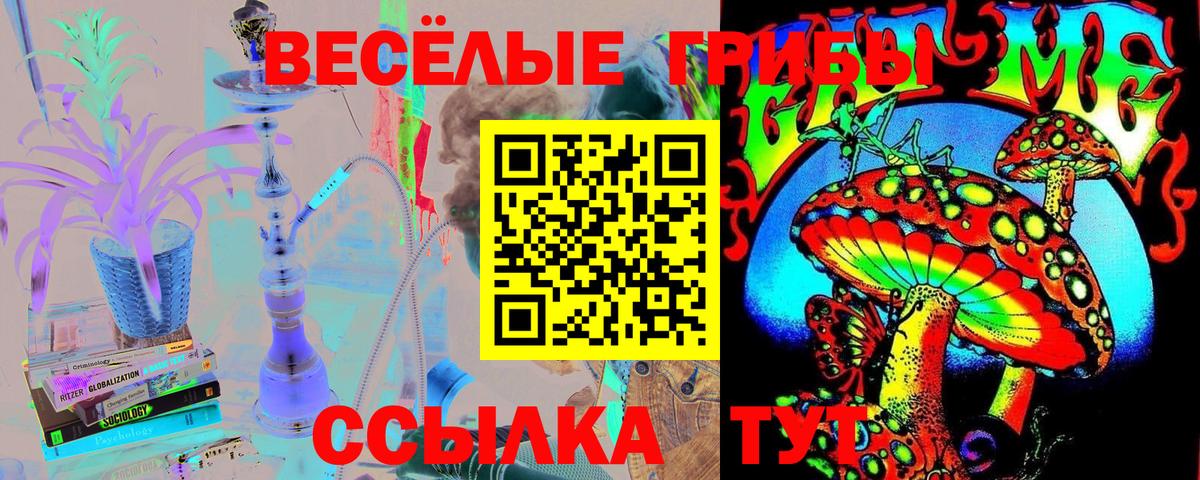где купить   Псилоцибиновые грибы GOLDEN TEACHER  Вход с VPN  Холмск  Галлюциногенные грибы мицелий 