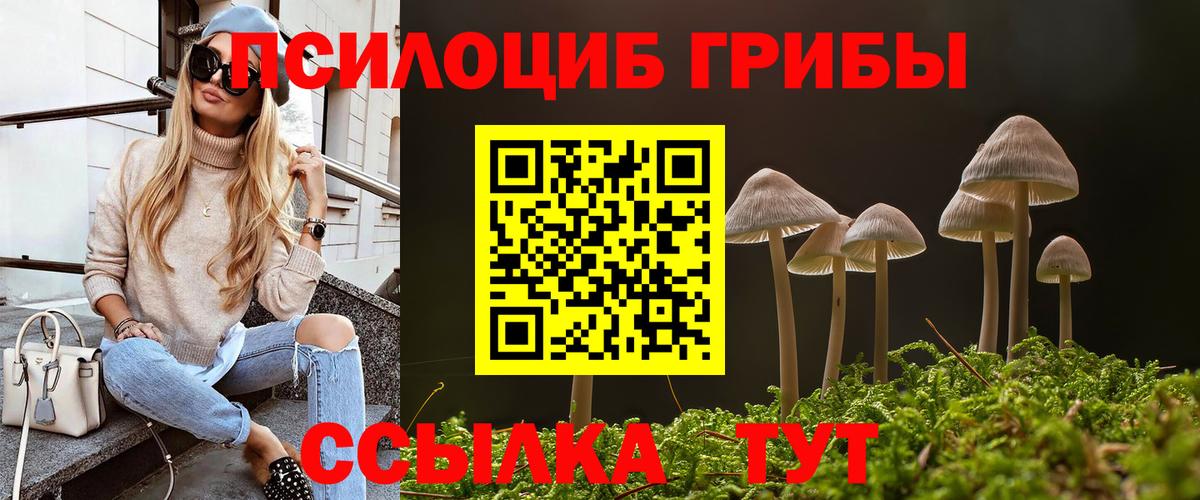 Галлюциногенные грибы Psilocybine cubensis Холмск