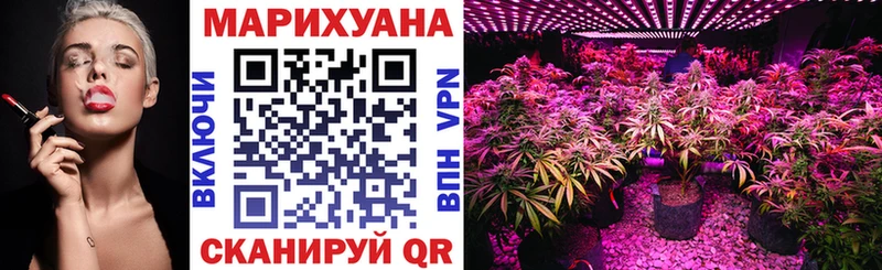 Каннабис индика Холмск
